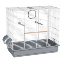 Descubre Cage 613 Oiseaux en la sección Jaulas para aves grandes